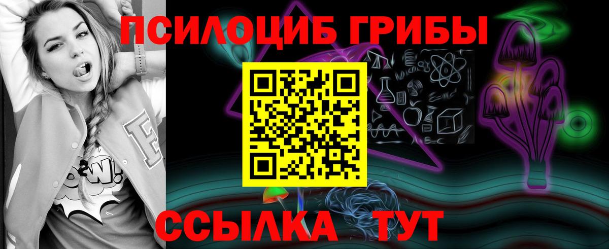 Псилоцибиновые грибы мухоморы Гусиноозёрск